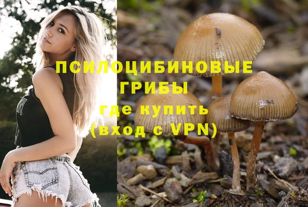 соль ск Алексин