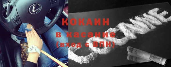 соль ск Алексин