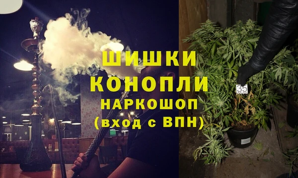 шишки Алексеевка