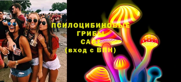 соль ск Алексин